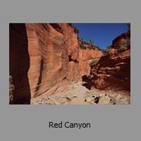 Red Canyon